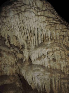 150503 Carlsbad Caverns NP (33)