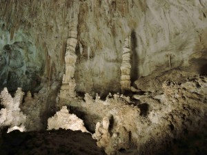 150503 Carlsbad Caverns NP (58)