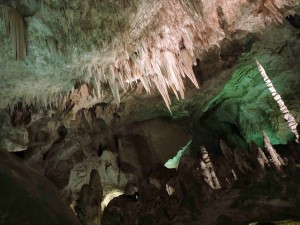 150503 Carlsbad Caverns NP (60)