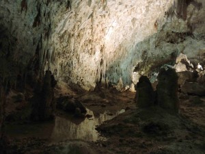 150503 Carlsbad Caverns NP (62)