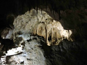 150503 Carlsbad Caverns NP (76)