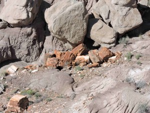 150507 Petrified Forest NP (56)