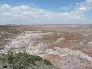 150507 Petrified Forest NP (7)