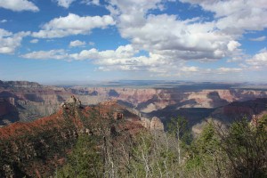 150607 North Rim Grand Canyon (24)